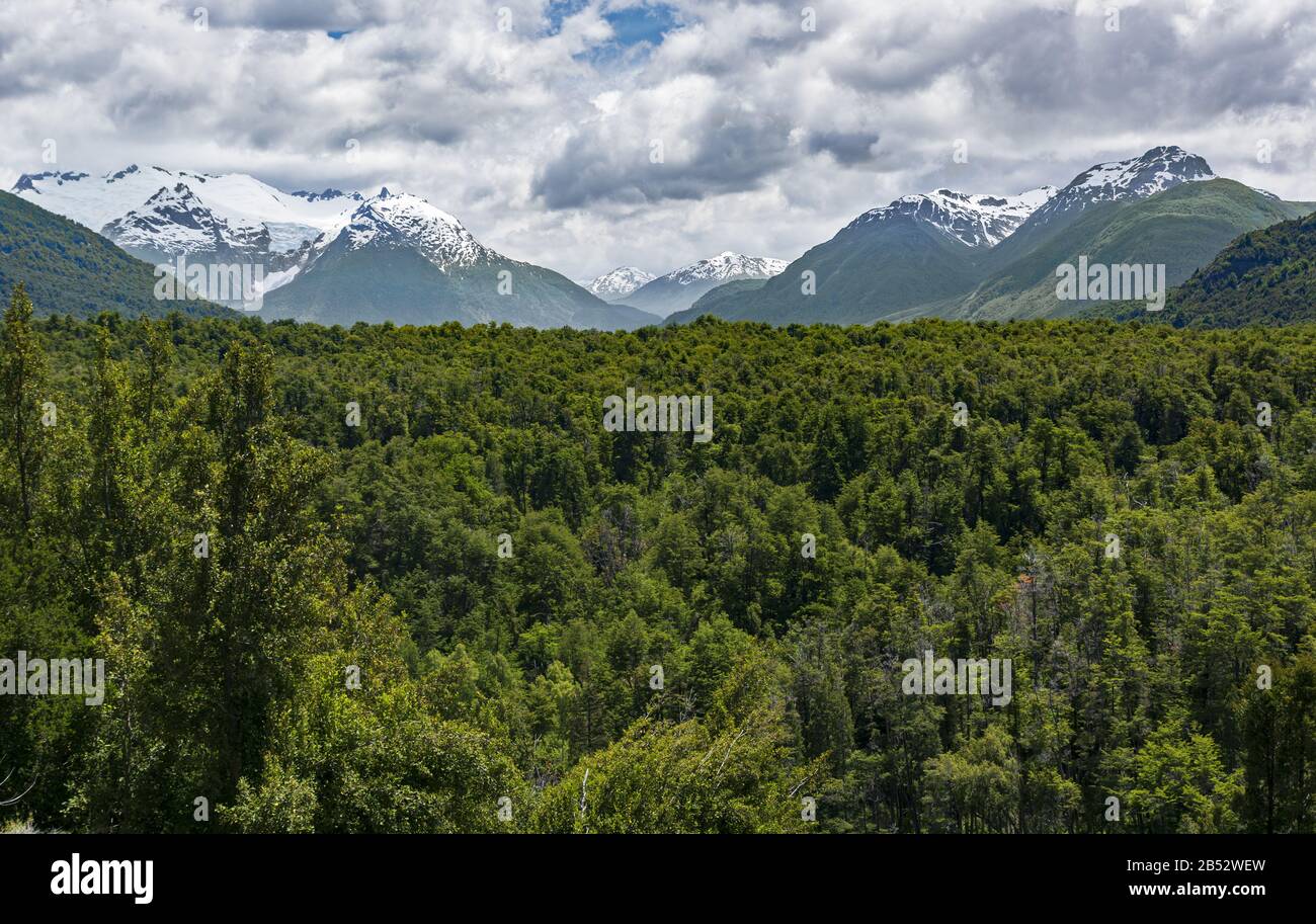 Der endlose Wald erreicht die majestätische Andenkette in der Ferne im Parque Nacional Los Alerces, Patagonien Argentina Stockfoto
