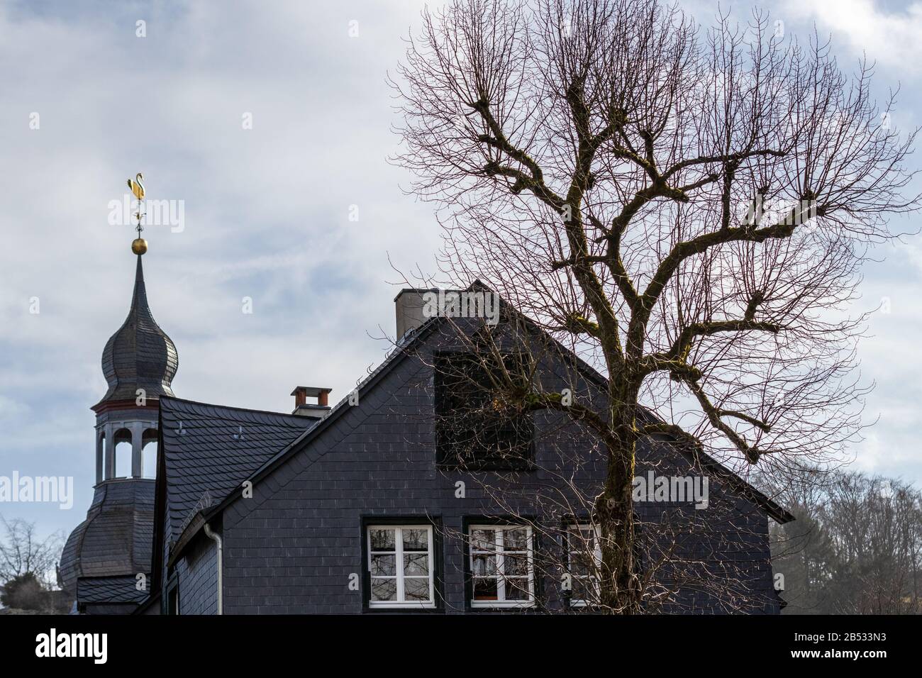 Blick auf Kirche und Baum im Vordergrund in Monschau, Eifel, Deutschland Stockfoto