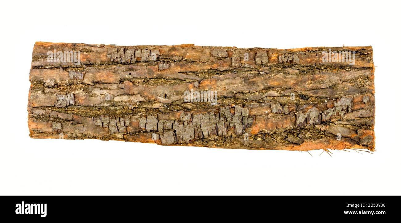 Geschnittenes und geschnittenes Stück Holz (Billet) mit Rinde, isoliert Stockfoto