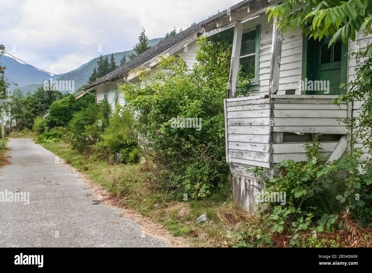 Verlassene, verfallende Klapperhäuser und ungepflegt Rasenflächen und Sträucher neben einem Gehweg in der einst geschäftigen Geisterstadt Ocean Falls, British Columbia. Stockfoto
