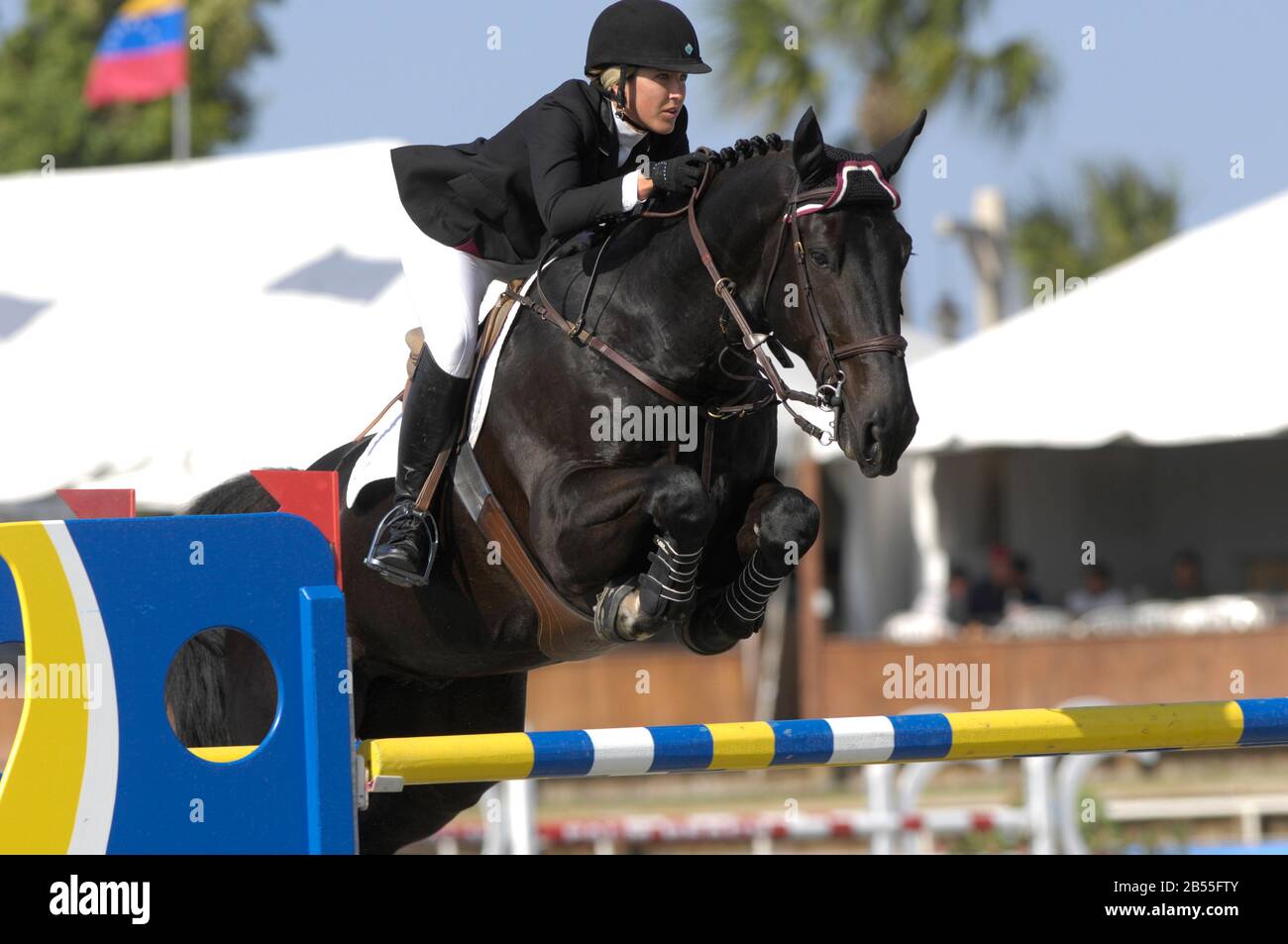 Ashley Fleischhacker (USA) reitend Tempete V/H Lindenhof, Winter Equestrian Festival, Wellington Florida, März 2007, Chesapeake Benefit Cup for a Just World - WEF Challenge Cup Round VIII Stockfoto