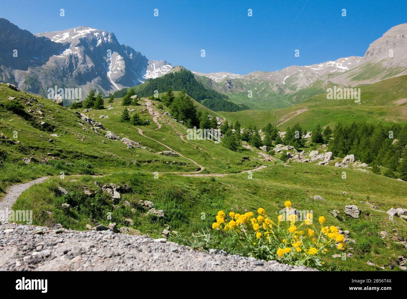 Schöne Aussicht am Col de Vars Stockfoto