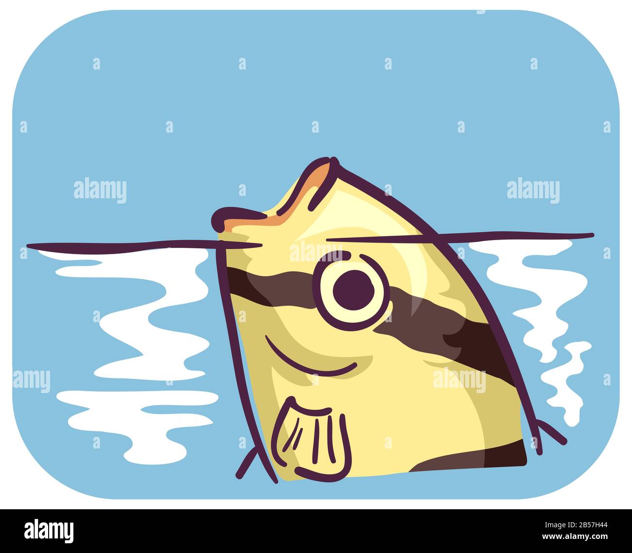 Abbildung: Ein Barbfisch, Der Häufig Aufatmet und An Der Oberfläche Nach Luft Schnappen Kann, Da Er Einen Hohen Sauerstoffgehalt aufweist, was zu Stresssymptomen führt Stockfoto