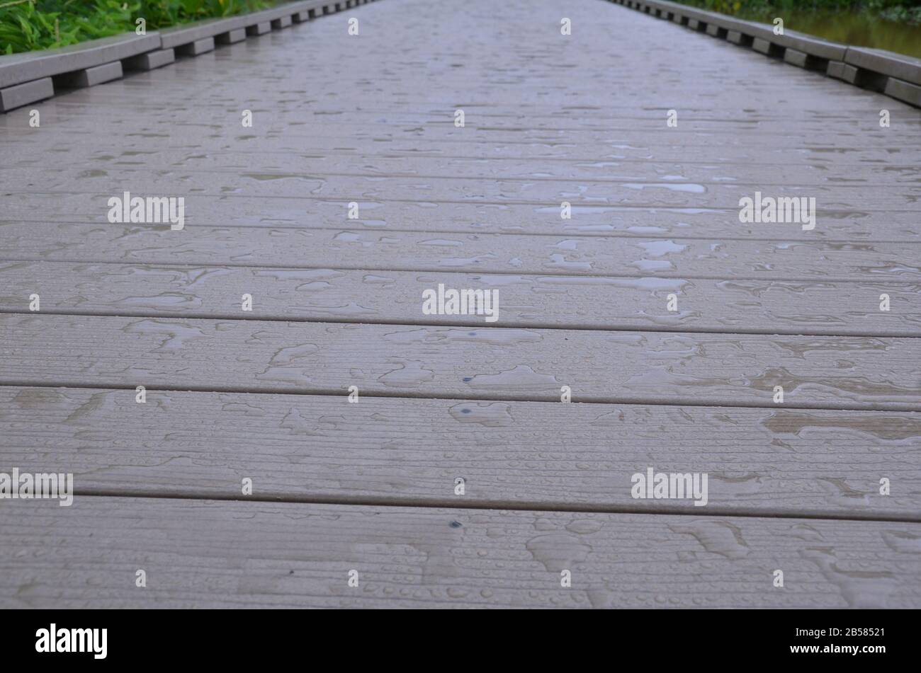 Nasser Boardwalk Pfad oder Pfad mit Pflanzen oder Gräsern Stockfoto