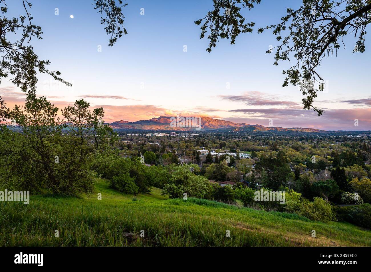 Dinosaur Hill Park in der Abenddämmerung Stockfoto