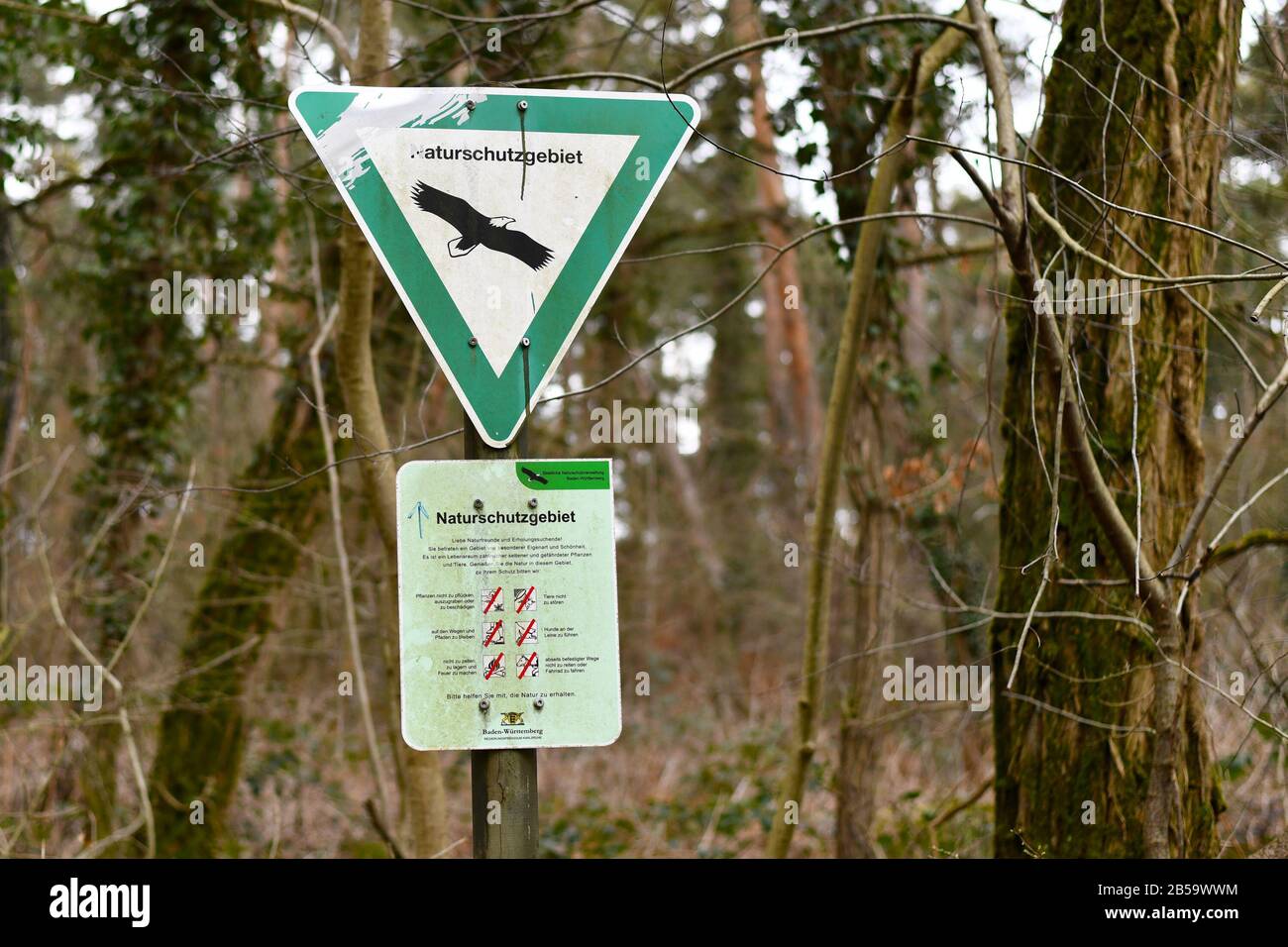 Grünes Dreiecksschild mit Adler und Schild mit Verhaltensregeln für das Deutsche Naturreservat, eine Schutzgebietskategorie in Deutschland Stockfoto