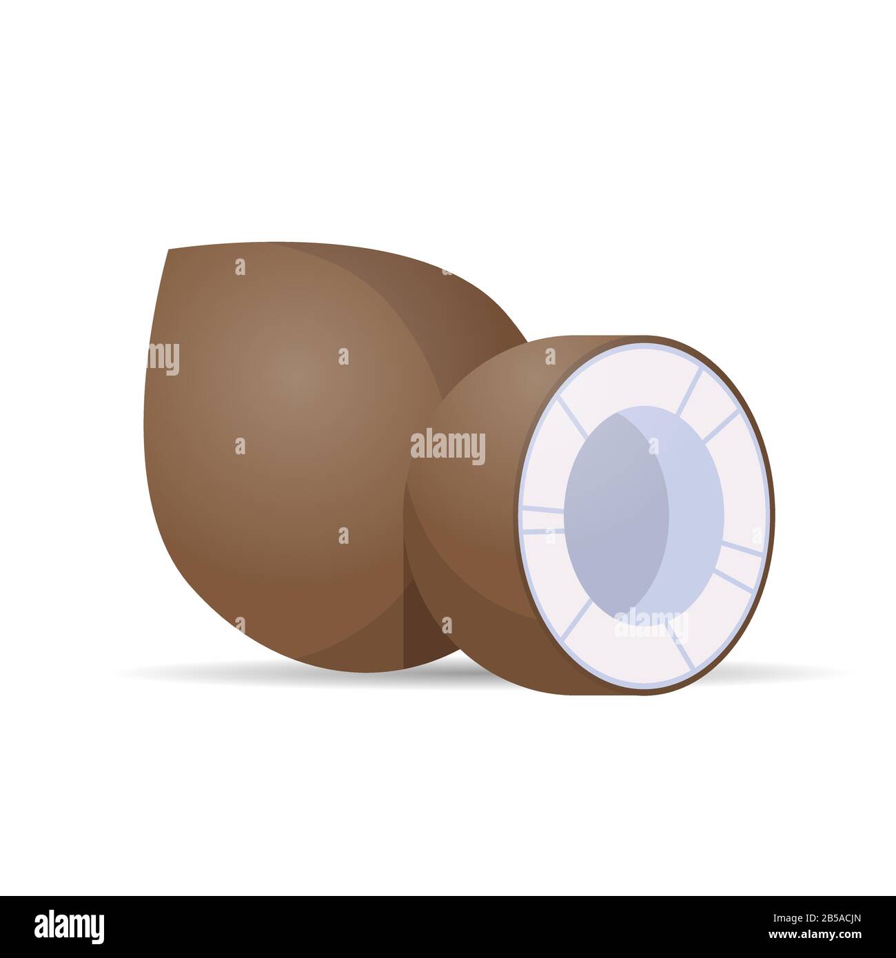 Frische saftige Kokosnuss-Ikone leckere reife Früchte isoliert auf weißem Hintergrund gesundes Essen Konzeptvektor Illustration Stock Vektor