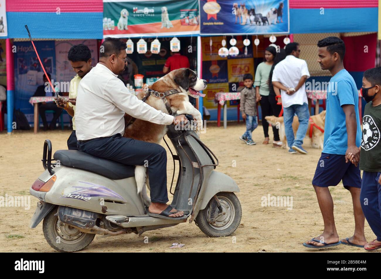 Nagaon, Assam/Indien - 08. März 2020: EIN Hundebesitzer mit seinem Haustier kommt auf einem Roller an, um an der 2. Nagaon Dog Show 2020 teilzunehmen Stockfoto