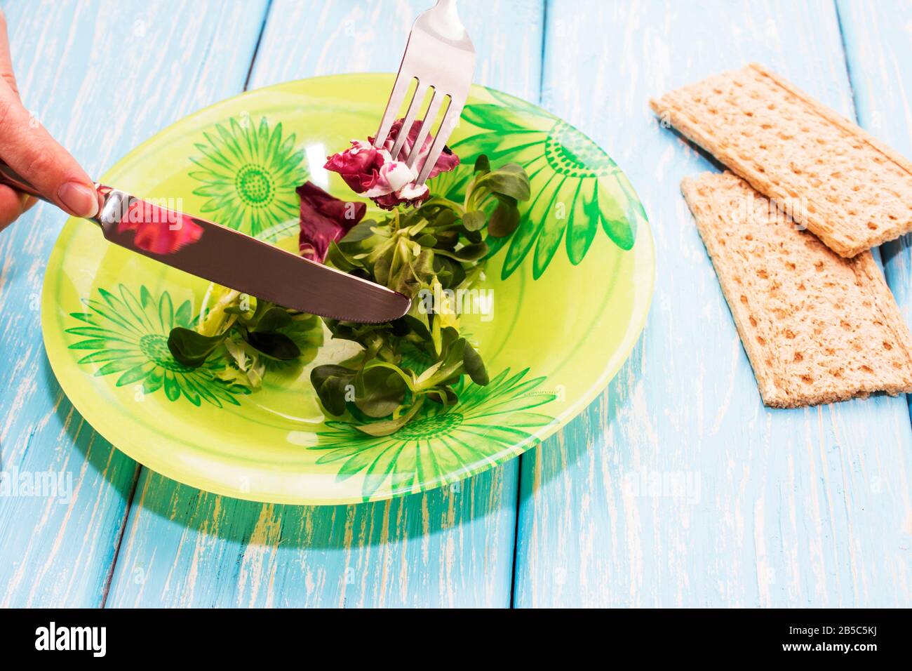 Köstlicher Salat mit grünen Kräutern auf einem Teller. Das Konzept der richtigen Ernährung. Ernährung. Stockfoto