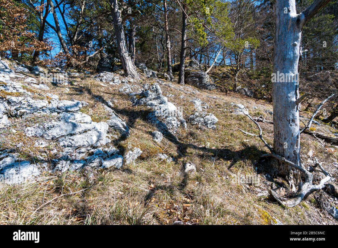 Quellwanderung im schönen Donautal, entlang der Burgruine Kallenberg