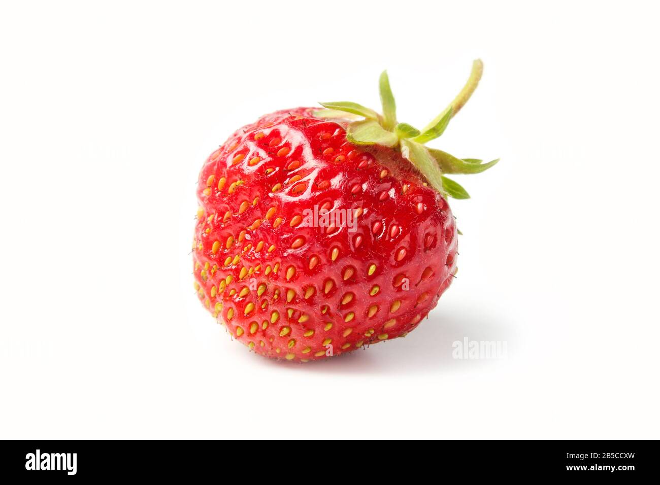 Reife Erdbeere isoliert auf weißem Stockfoto