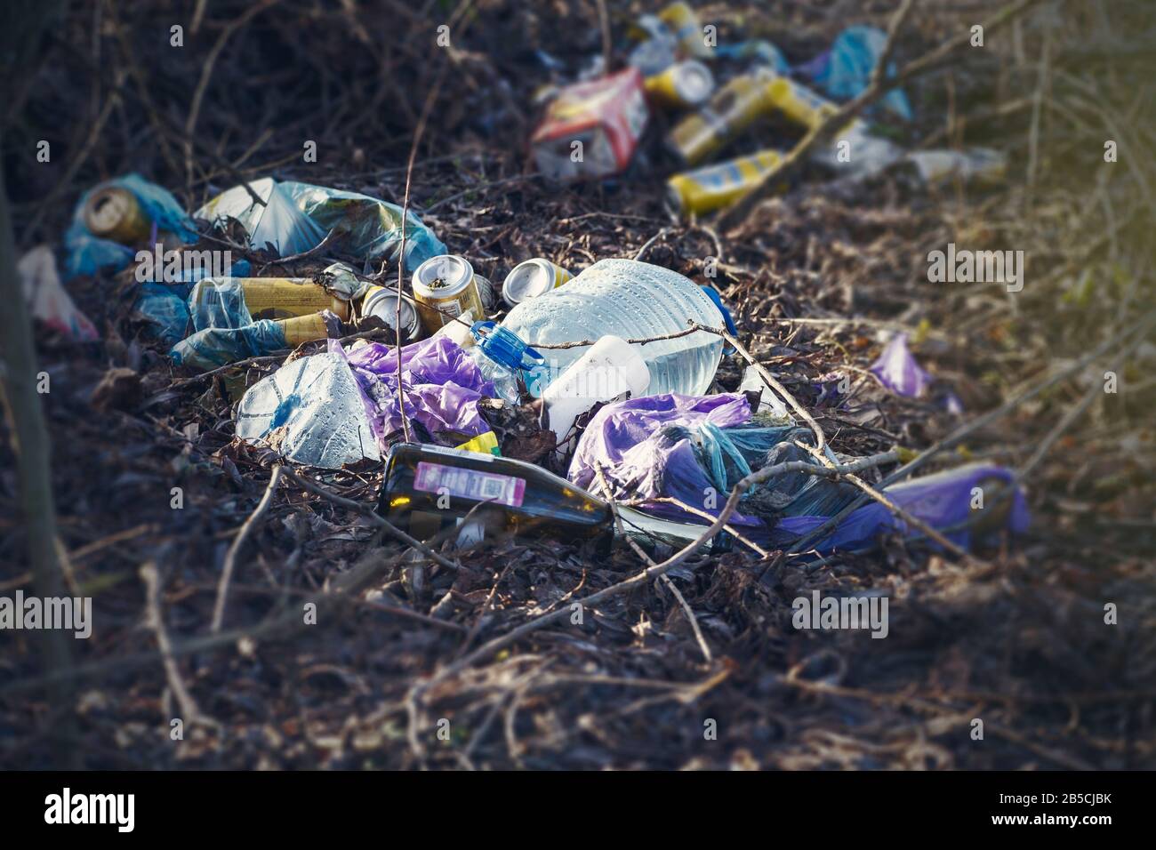 Müll im Wald. Verschmutzung des Waldes mit Kunststoff und Flaschen Stockfoto