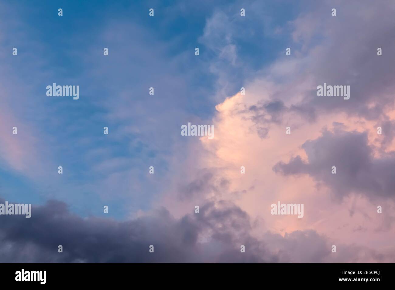 Schöne rosafarbene Wolken am blauen Himmel während der Abenddämmerung bei Sonnenuntergang. Natürliches Muster im Hintergrund der Wolkenlandschaft Stockfoto