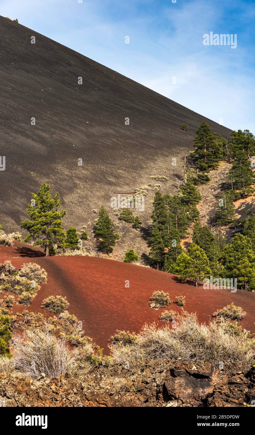 Schlacke Dünen, Sunset Crater Volcano National Monument, Arizona, USA Stockfoto