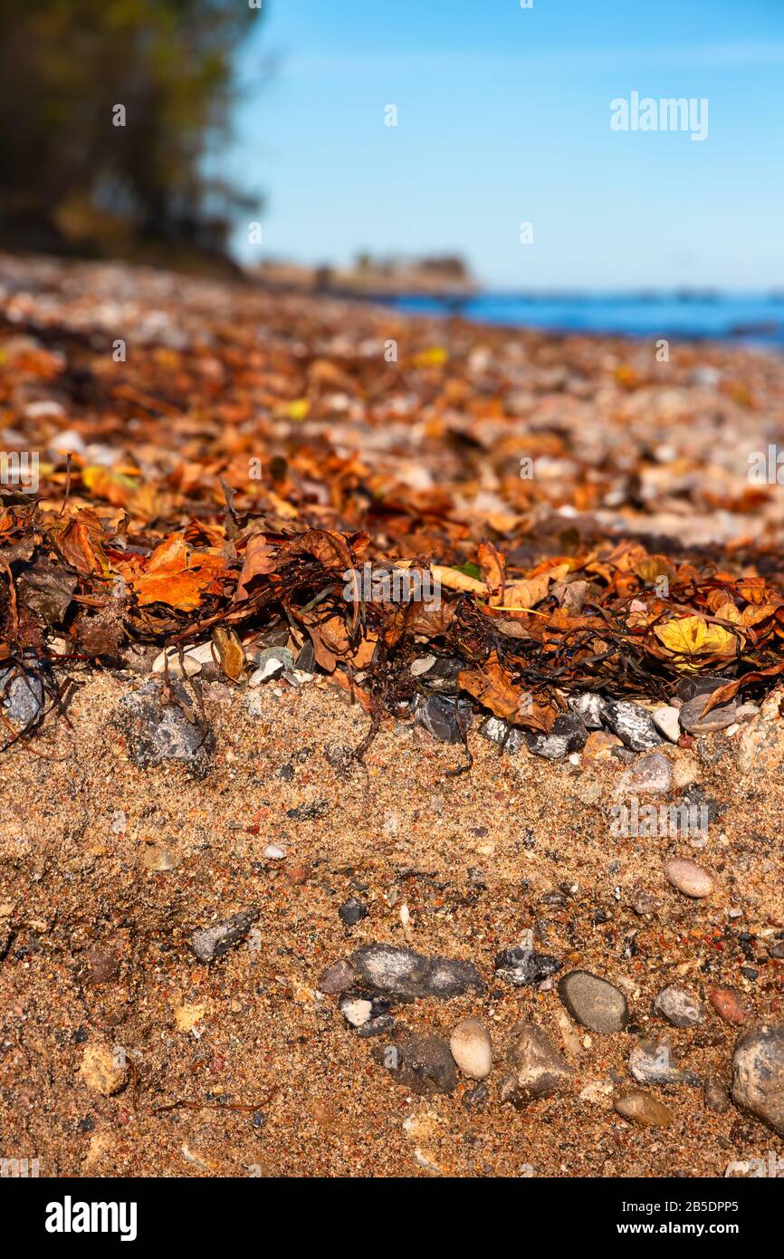 Ein Strandboden aus Kieselsteinen und Sand auf der Insel Fehmarn an der Ostsee Stockfoto