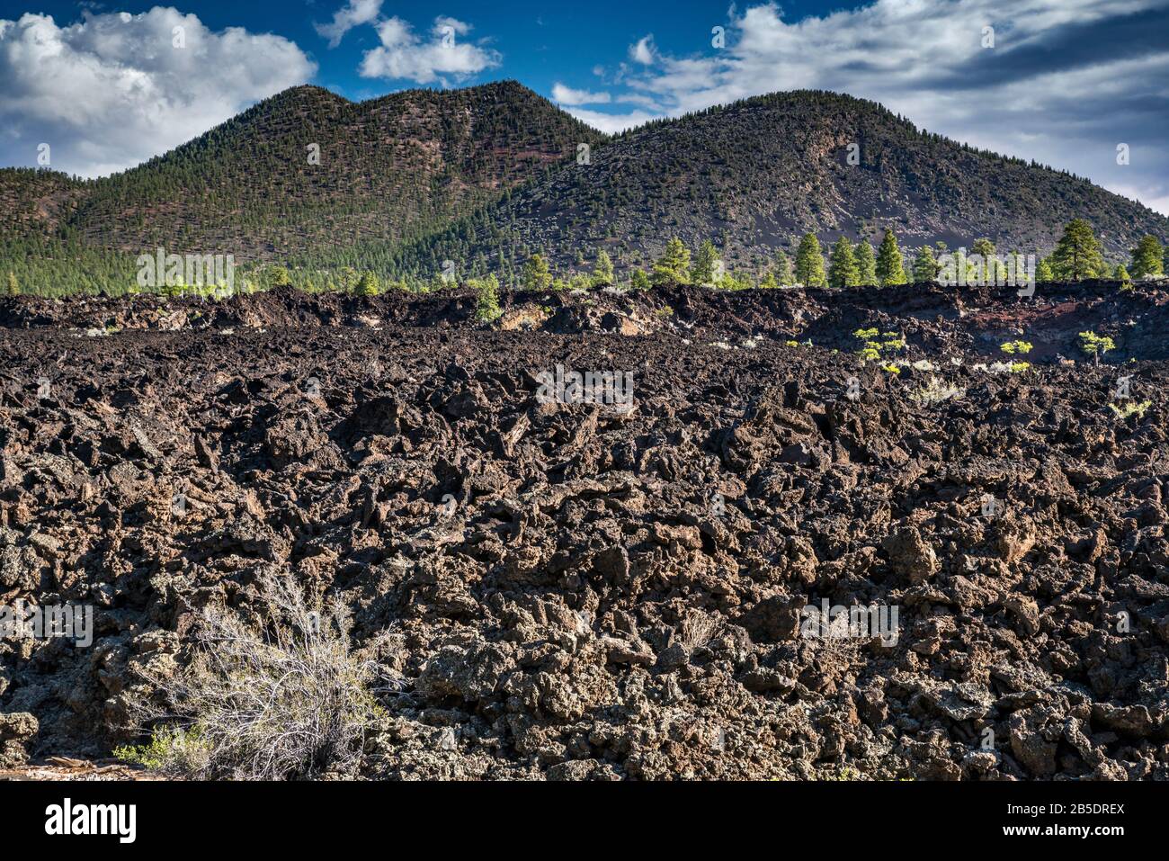 O'Leary Peak über Bonito Lavastrom, Sunset Crater Volcano National Monument, Arizona, USA Stockfoto