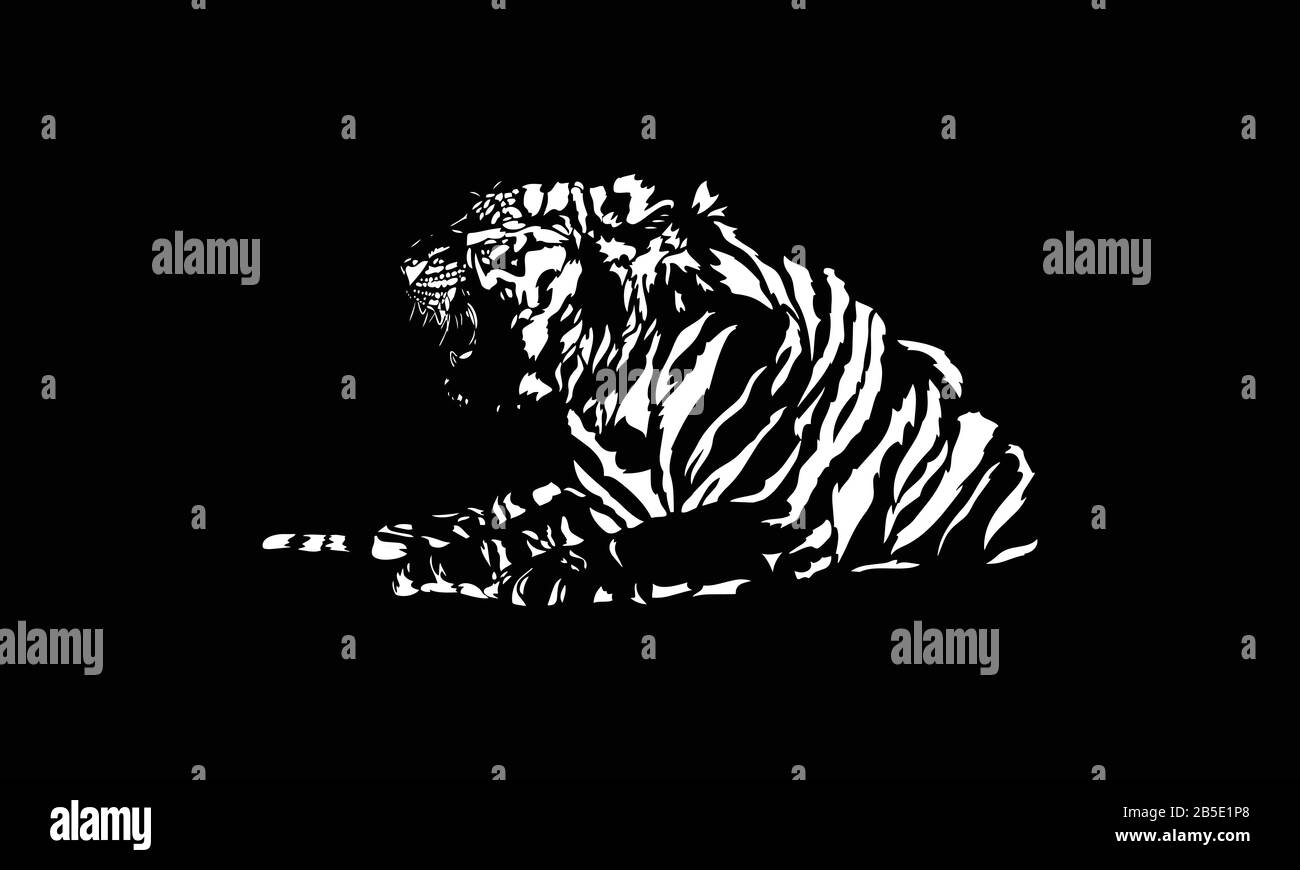 Weißer Tiger auf schwarzem Hintergrund Stock Vektor