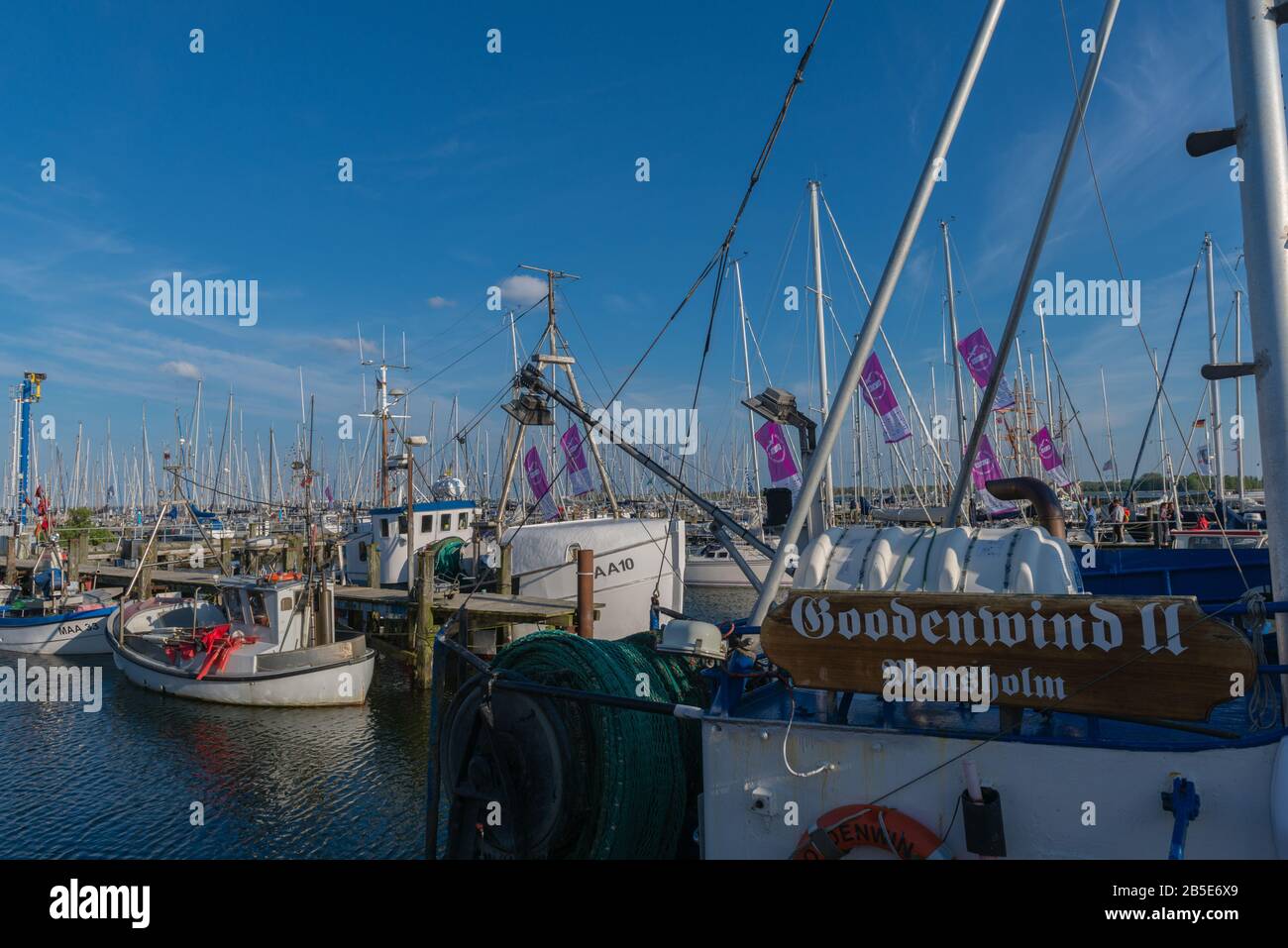 Marina von Maasholm, eine kleine Fischergemeinde an der Schlei Fjord, Ostsee, Schleswig-Holstein, Norddeutschland, Europa, Stockfoto