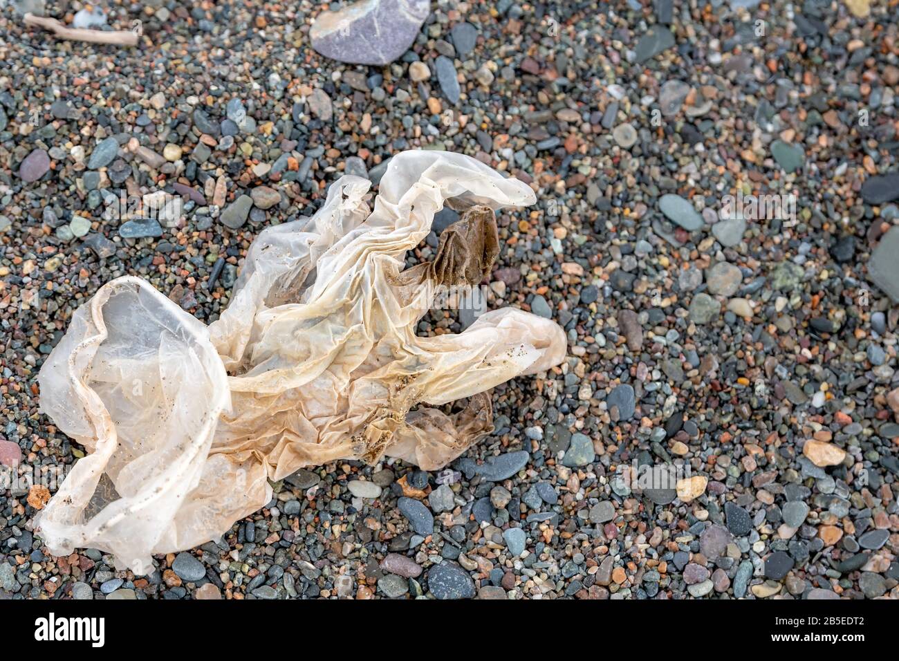 Ein klarer Einweghandschuh aus Kunststoff an einem felsigen Strand. Es ist abgenutzt und gekrinklt und in sehr schlechtem Zustand. Stockfoto