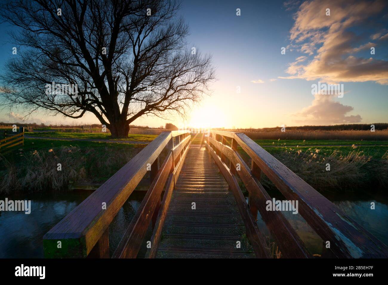 Sonnenschein hinter Holzbrücke über den Fluss, Niederlande Stockfoto