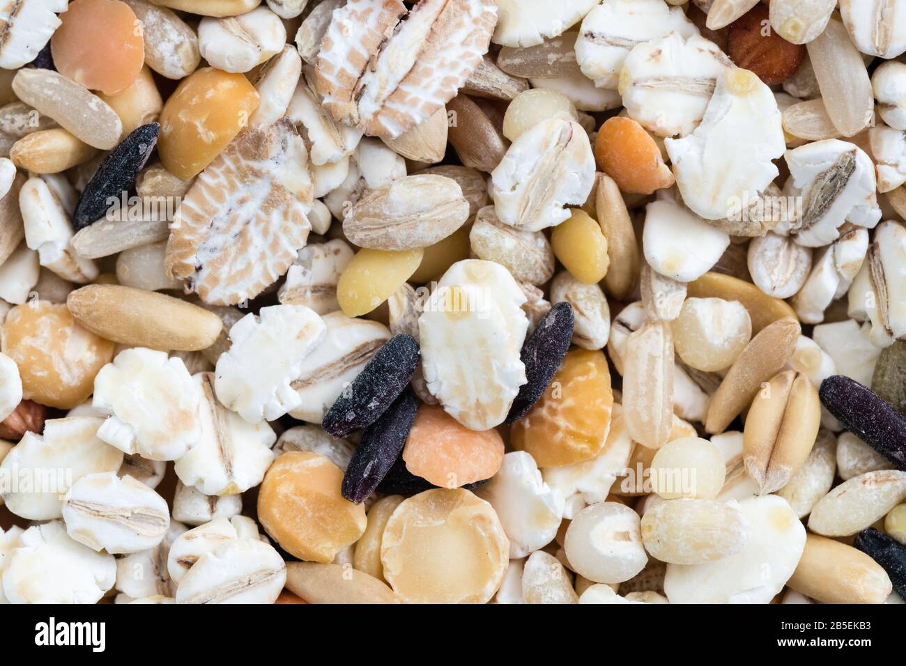 Bunte Details mit gemischter Körnung im Hintergrund Stockfoto