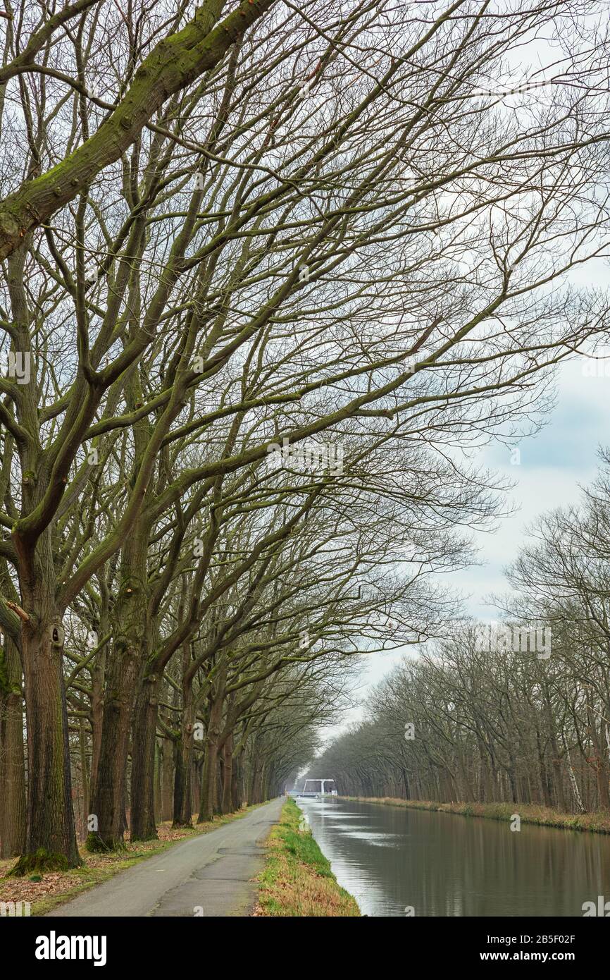 In der Nähe der Postel Abbey hängen Baumzweige über einem Kanal Stockfoto