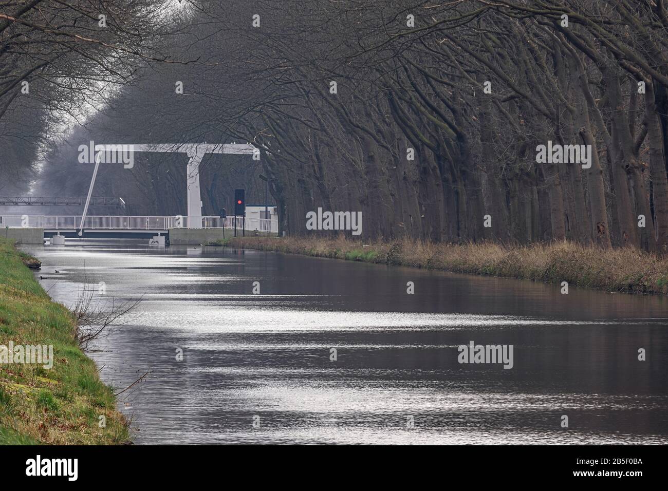 Dunkle Baumzweige hängen über einem Kanal in der Nähe von Postel Abbey Stockfoto