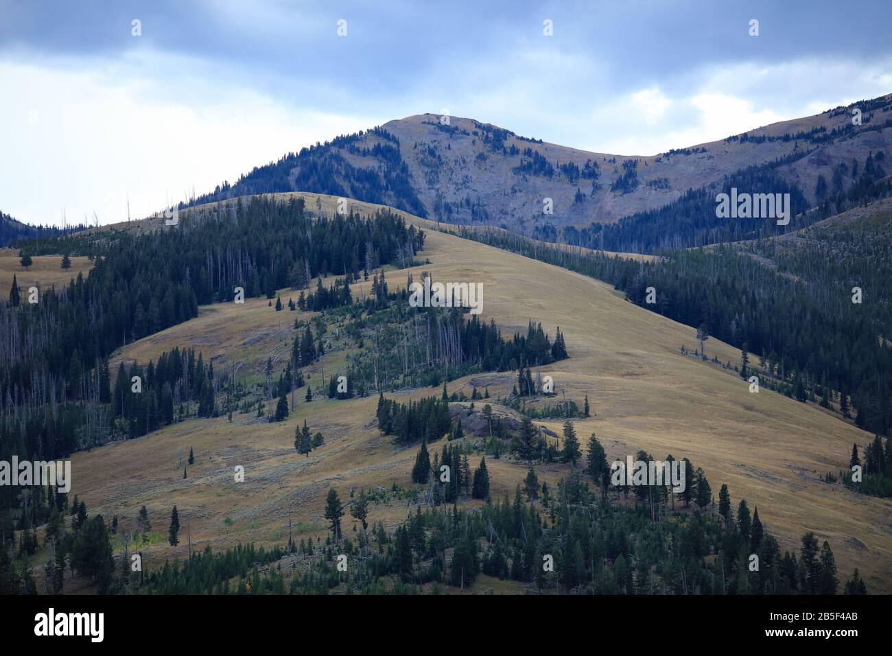 Bergstürme im Lamar Valley im Yellowstone National Park Stockfoto