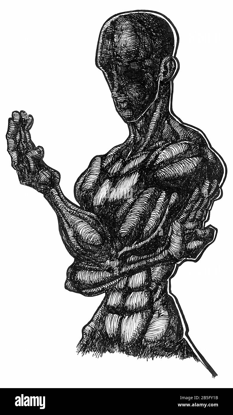 Farbzeichnung (Hatch Work) von Karate Pose (Kampfkunst) Detaillierter Muskelkörper in einem Texturierten, Einzigartigen Stil. Künstlerische manuelle Darstellung wurde zum Vektor Stock Vektor