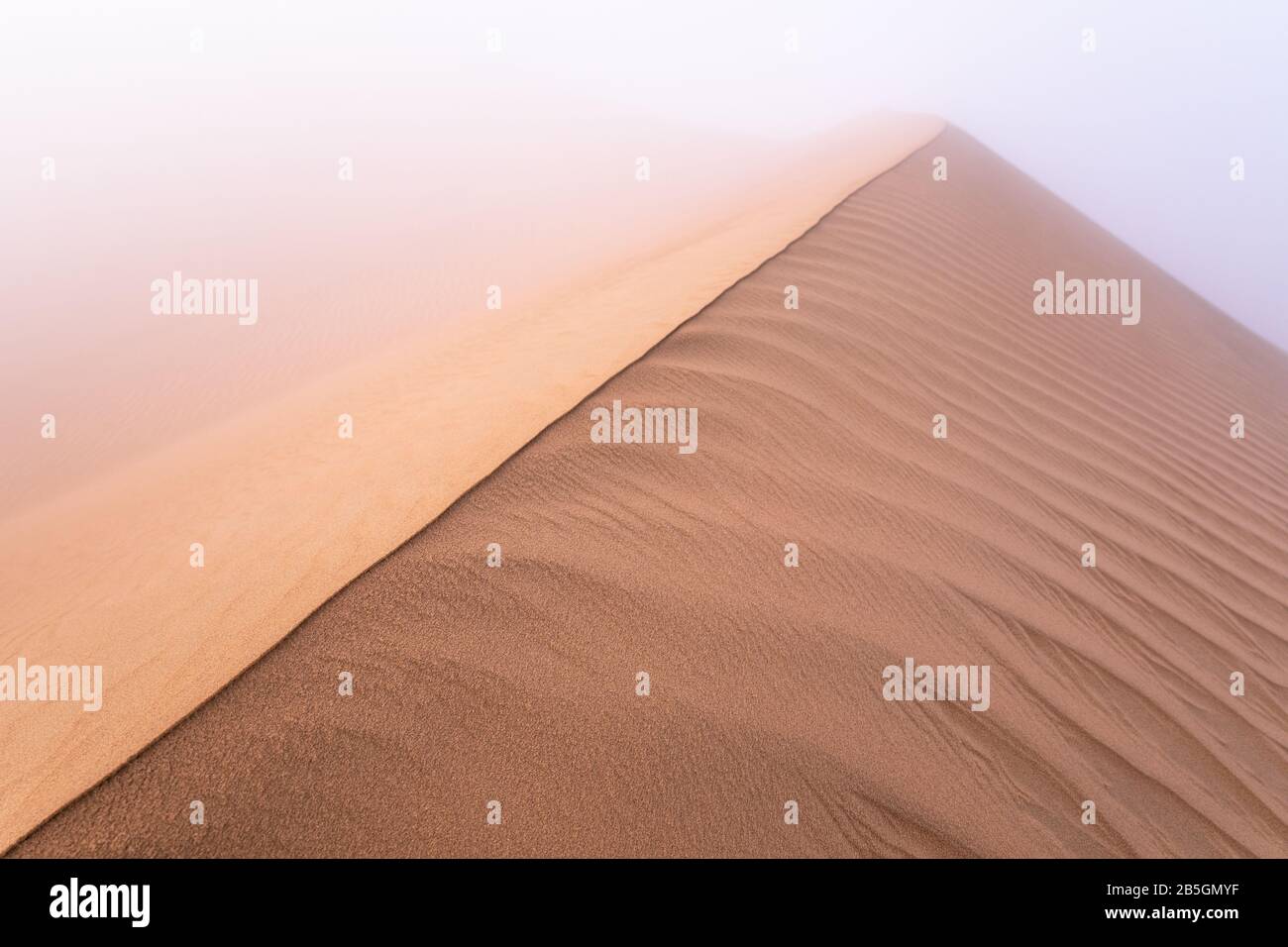 Abstraktes Bild einer gemusterten Sanddüne bei dichtem Nebel an einem Wintermorgen. Liwa-Wüste, Abu Dhabi, Vereinigte Arabische Emirate. Stockfoto