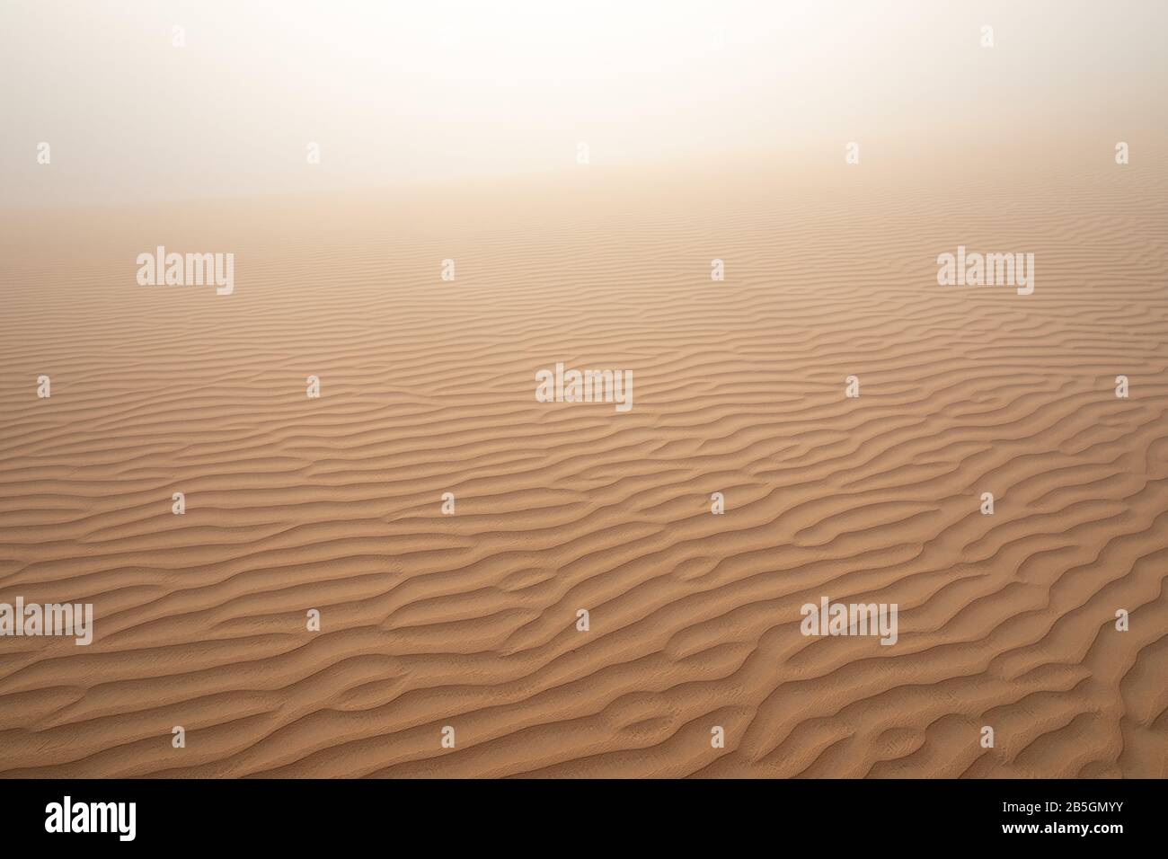 Abstraktes Bild einer gemusterten Sanddüne bei dichtem Nebel an einem Wintermorgen. Liwa-Wüste, Abu Dhabi, Vereinigte Arabische Emirate. Stockfoto
