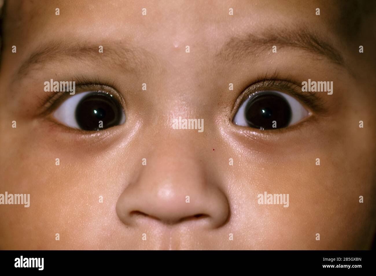 Neugeborene indische Babyaugen und Nase, Nahaufnahme mit Blick auf die Kamera Stockfoto