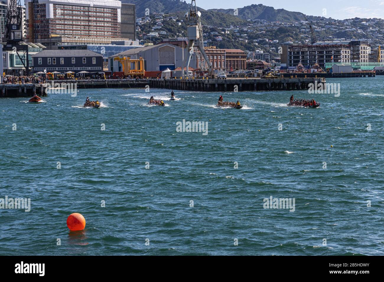 Vier Teams, die aus dem Startbereich, Wellington Harbour, auslaufen Stockfoto