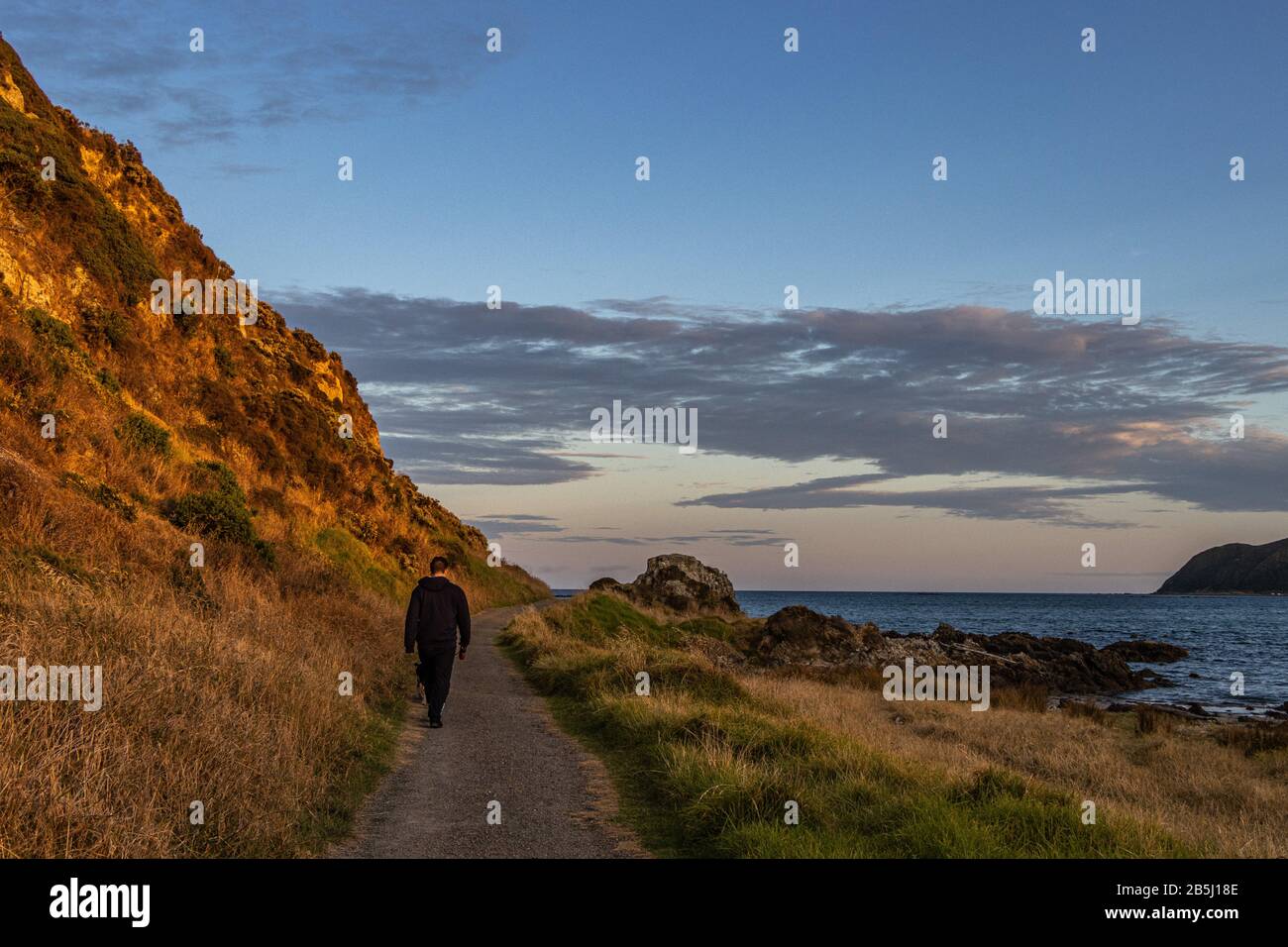 Hundespaziergänger am frühen Morgen Stockfoto
