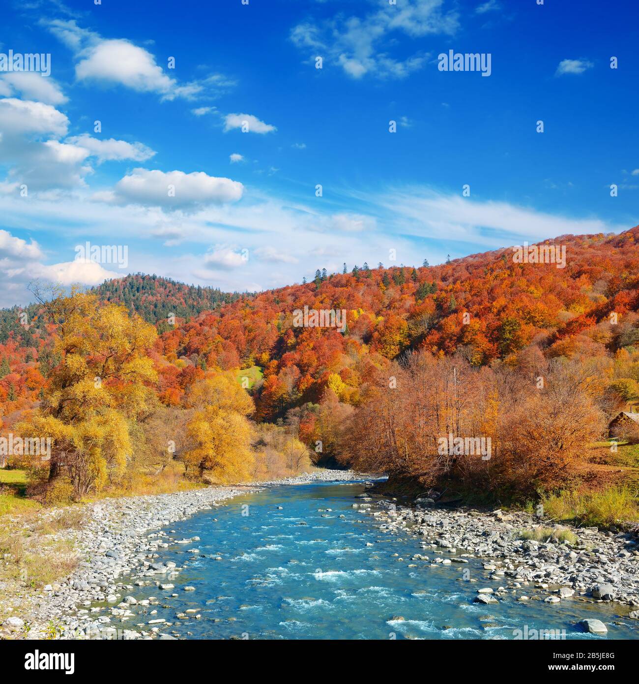 Heller Herbstlandschaftstaler Bergfluss. Stockfoto