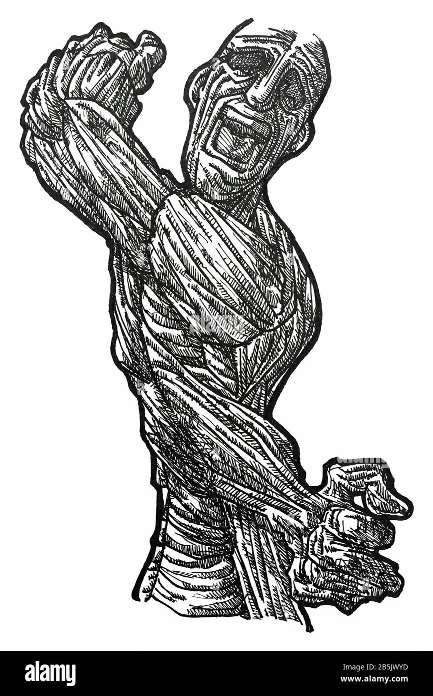 Farbzeichnung (Hatch Work) des Konturierten, Detailreichen Muskulösen Körpers in einem Texturierten, Einzigartigen Stil. Künstlerische Manuelle Illustration. Schmerzängstigkeit, Angst Vor Der Depression. Stockfoto