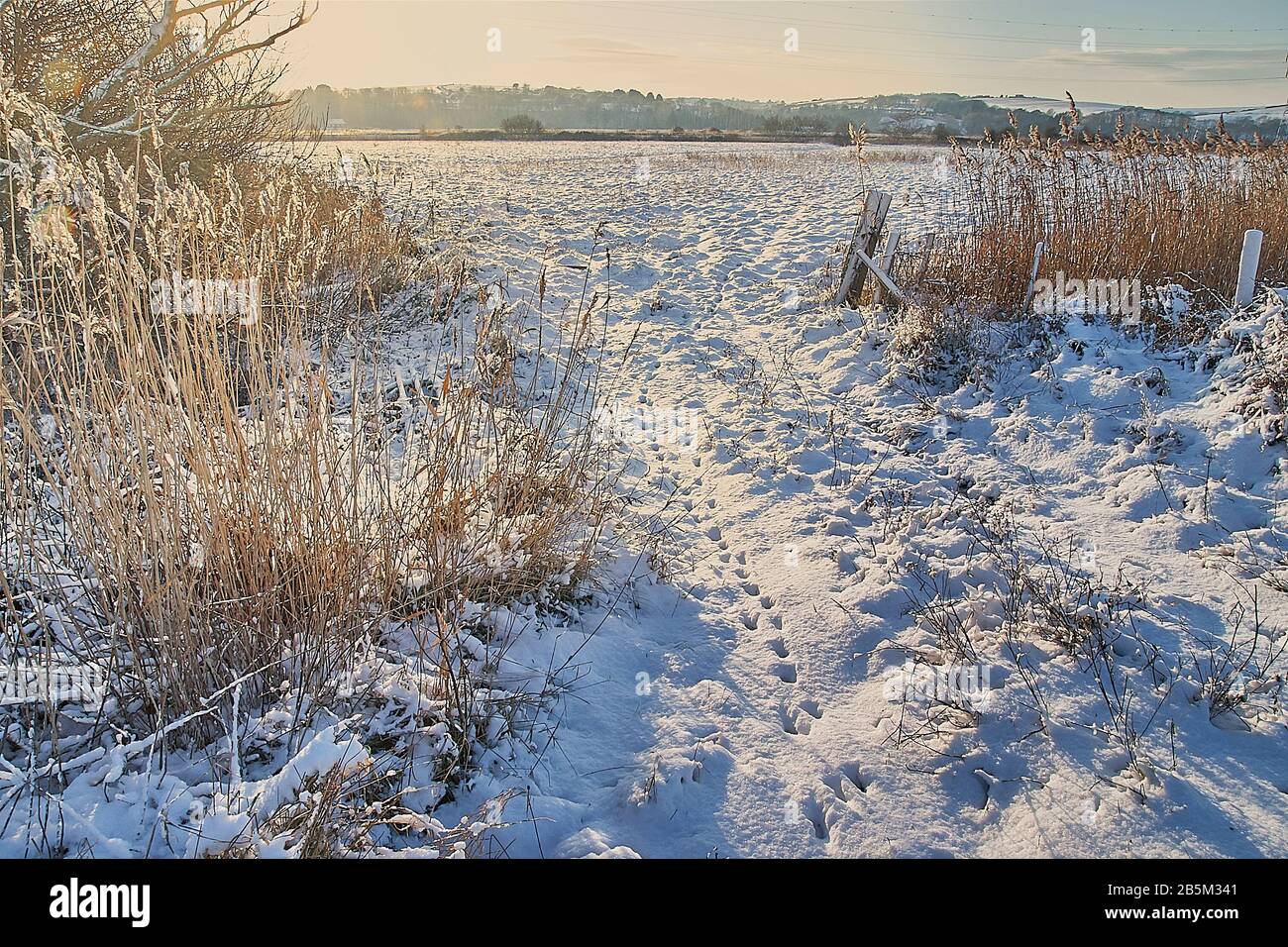 Land Schnee Szenenlandschaft über Felder Stockfoto