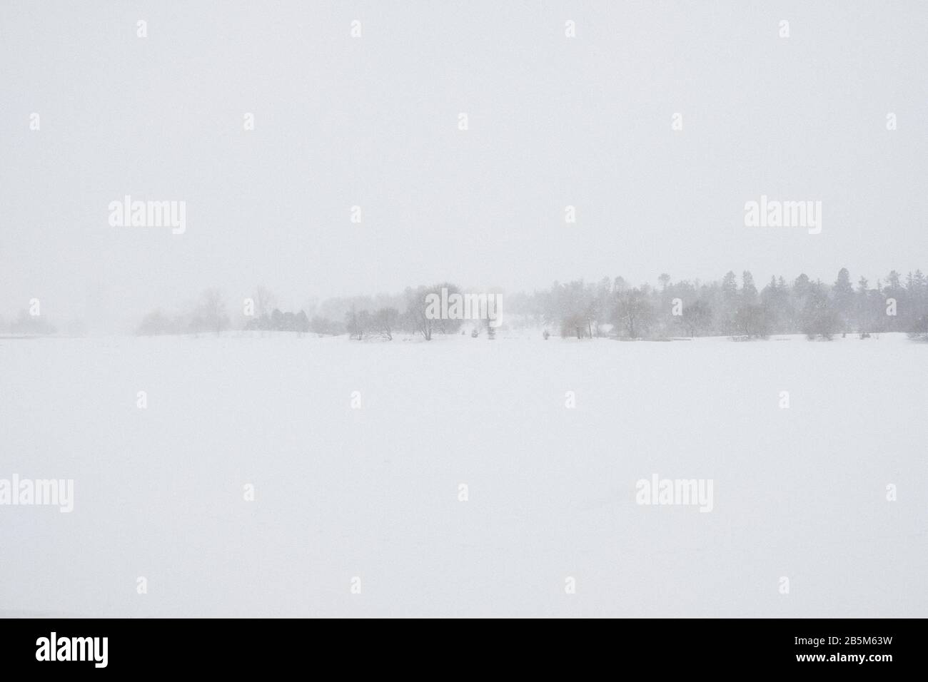 Gespenstische Höhenlinie, die durch den fallenden Schnee über einen gefrorenen und schneebedeckten Dow's Lake, Ottawa, Ontario, Kanada, zu sehen ist. Stockfoto