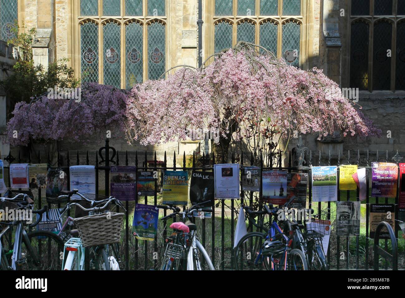 Große Str. Marys Kirche Cambridge Stockfoto