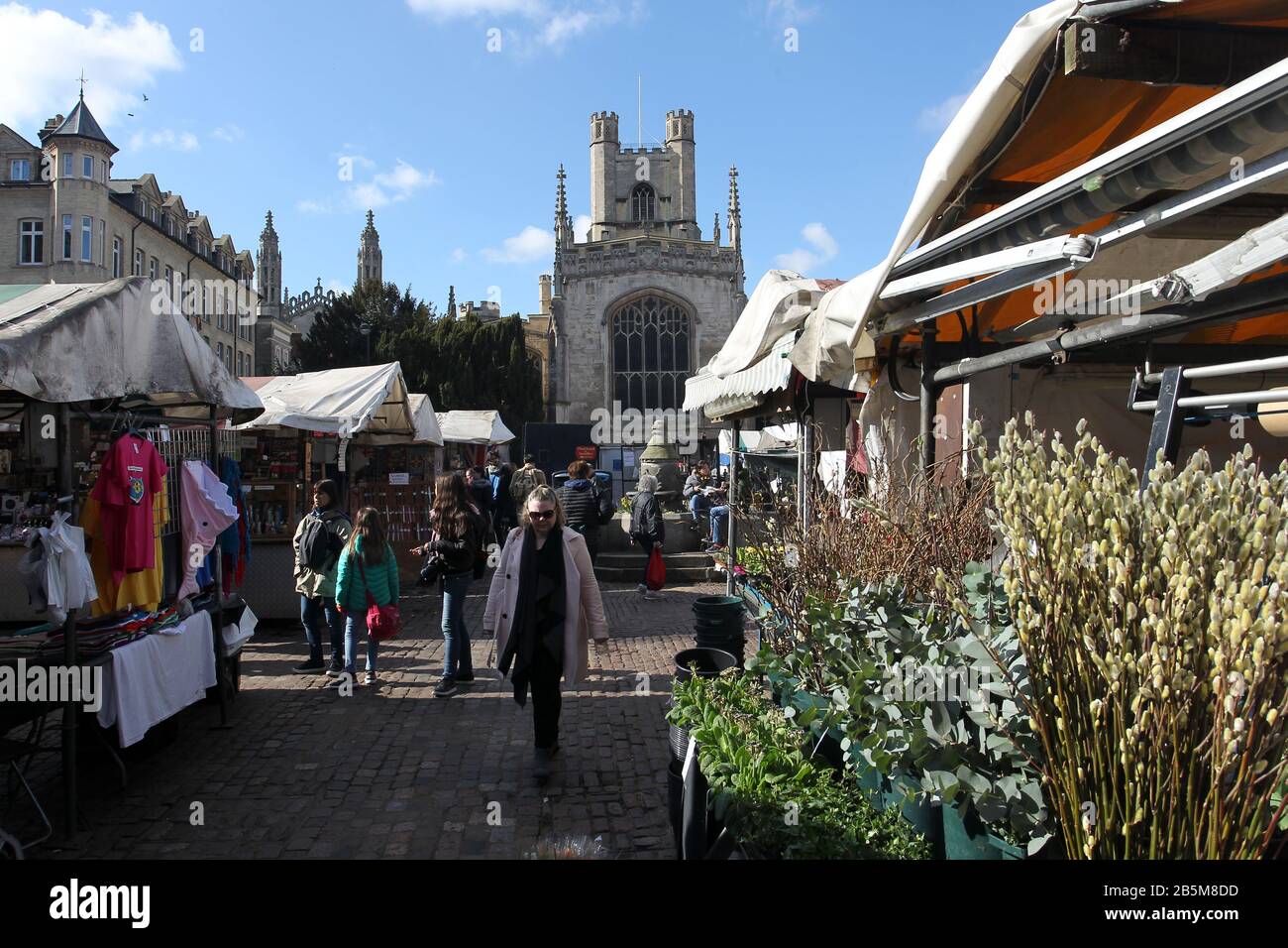 Market Square Cambridge mit der Great St Marys Church im Hintergrund Stockfoto
