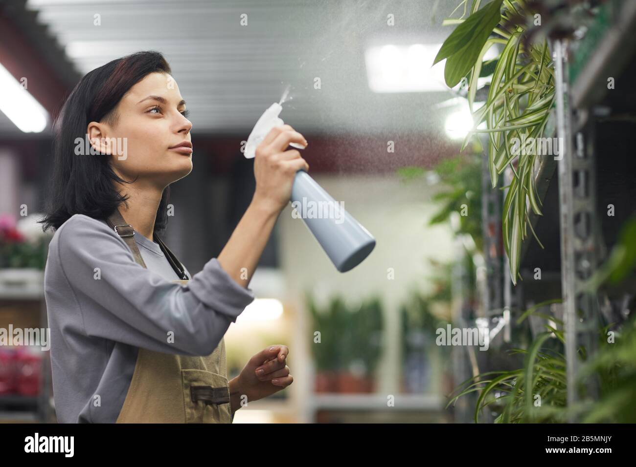 Seitenansicht Portrait von jungen Frauen, die Blumen gießen, während sie im Geschäft arbeiten, Kopierraum Stockfoto