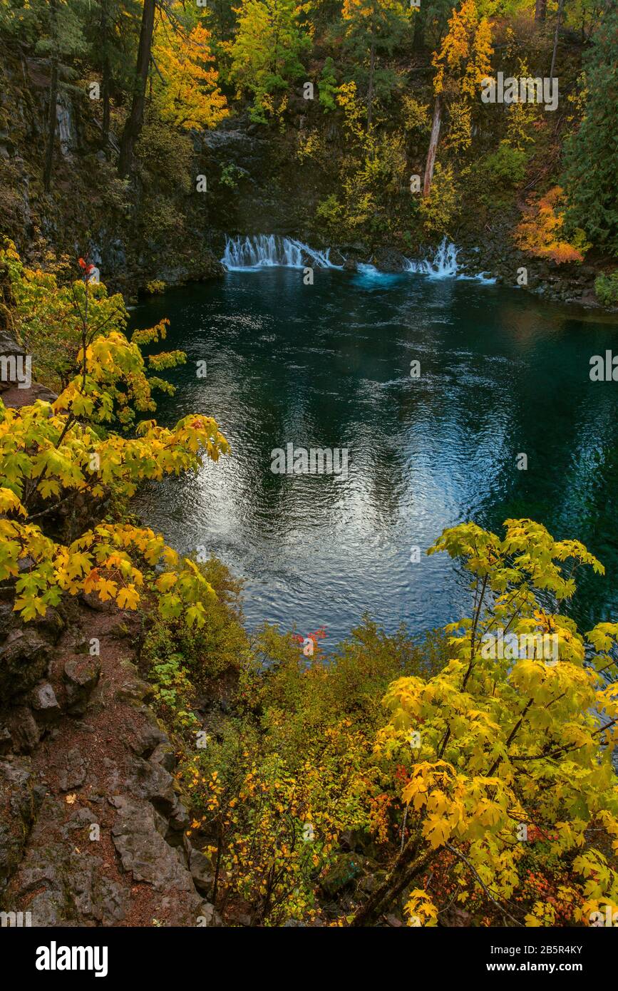 Tamolitch fällt, blauen Pool, McKenzie River, National Wild und Scenic River, Willamette National Forest, Oregon Stockfoto