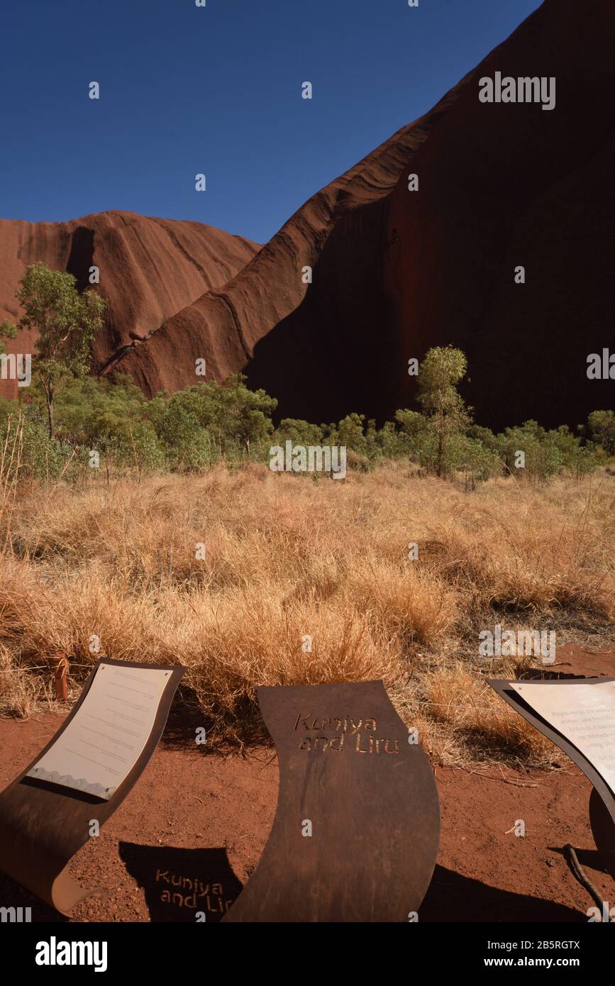 Uluru at Mutitjulu Waterhole, Australien, Dreamtime Story, Gummibäume, einheimisches Gras, Grate und Felsspitzen. Spaziergang am Uluru-Kata Tjuta Park Stockfoto