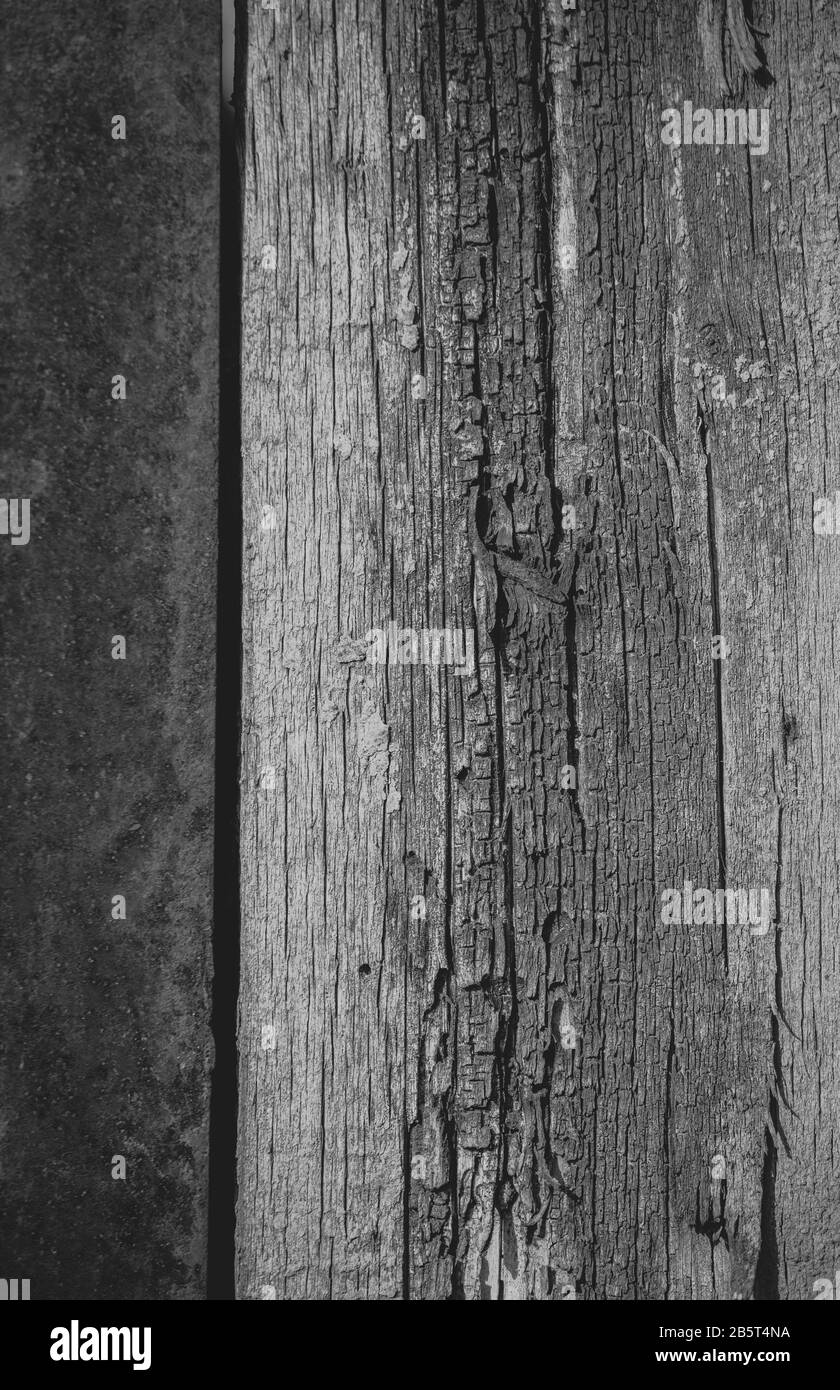 Holztür mit Peeling-Lack und Vintage-Griffen mit Platz für Text Stockfoto