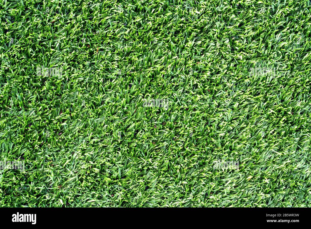 Über dem Schuss von grünem Gras oder Rasen eines Spielplatzes oder Feldes. Muster und Strukturiertes Konzept Stockfoto