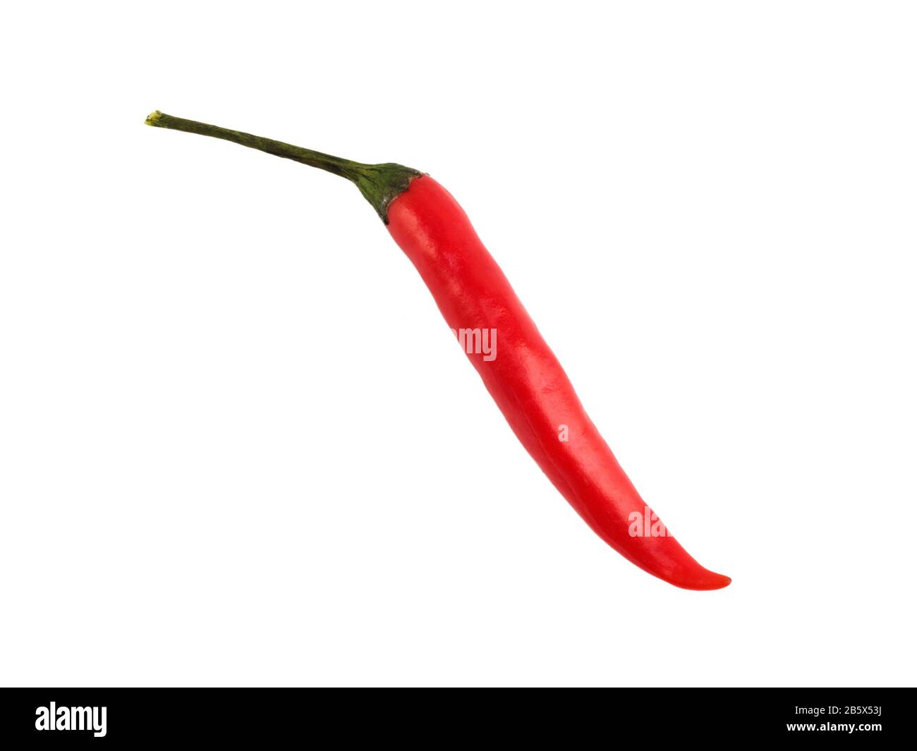 Rote Chilischote auf weiß isoliertem Hintergrund. Indische Küche, Ayurveda, Naturheilkonzept Stockfoto