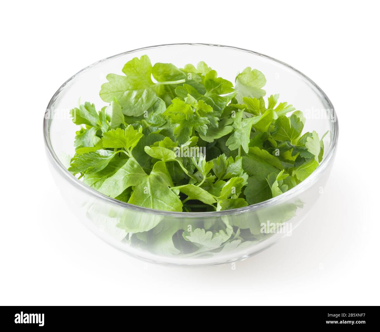 Frische Petersilie in Glasschale auf weißem Hintergrund mit Freistellungspfad isoliert Stockfoto