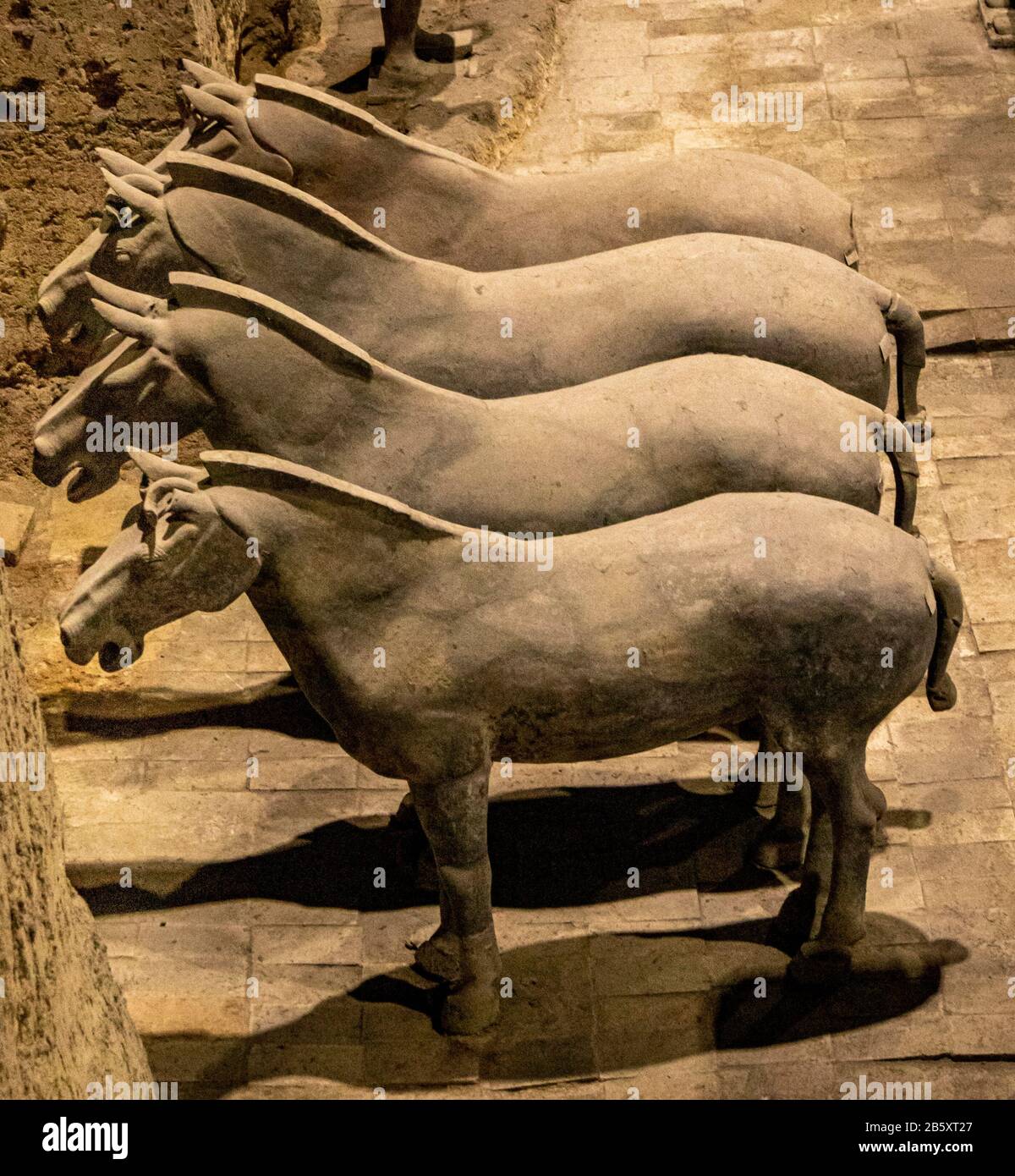 Pferde der Terrakotta-Armee, Mausoleum des Ersten Qin-Imperators Qin Shi Huang, Lintong District, Xi'an, Shaanxi Provinz, China Stockfoto