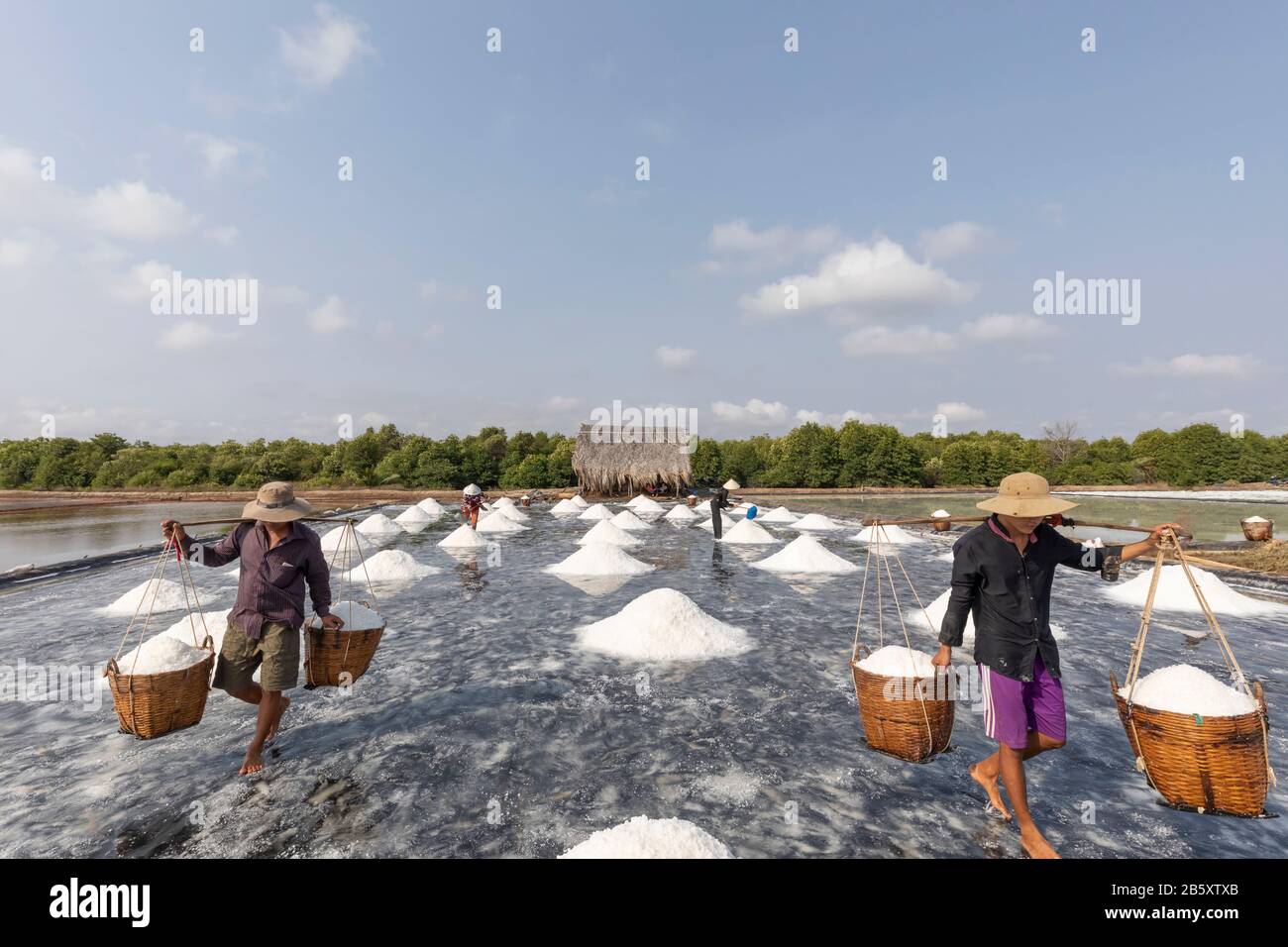 Eine Familie von Arbeitern erntet Salz und trägt und füllt schwere Körbe in den Salzebenen bei Can Gio in der Nähe von Ho Chi Minh Stadt in Vietnam Stockfoto