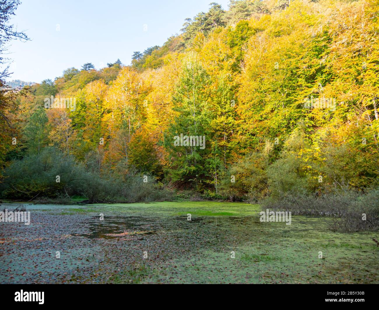 Herbstlandschaft im Yedigoller oder Sieben Seen Nationalpark Bolu Türkei. Reisen Stockfoto